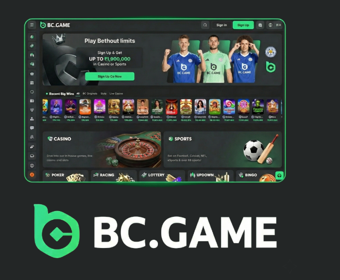 Understanding the BC.Game Mirror Registration Process -432655260 Understanding the BC.Game Mirror Registration Process -432655260